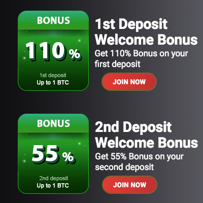KingBit Casino Bitcoin Bonus